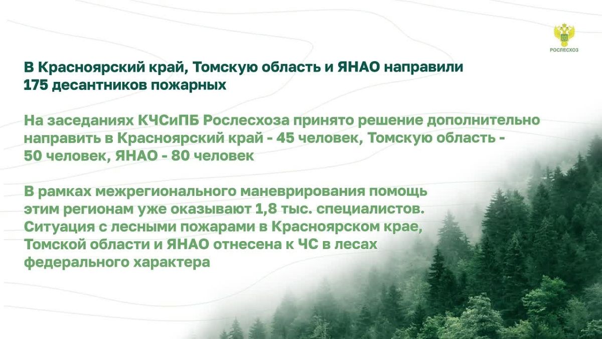Лесной #Дайджест – главные новости за неделю