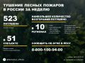 По данным Авиалесоохраны, подведомственной организации Рослесхоза, за прошедшую неделю потушено 523 лесных пожара в 30 регионах России