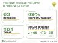 �� ��������� ����� � 11 �������� ������ �������� 63 ������ ������