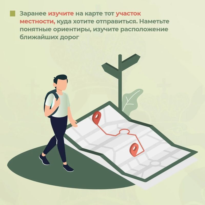 Следственное управление СК России по Томской области призывает соблюдать правила безопасного поведения в лесу Следственное управление СК России по Томской области призывает соблюдать правила безопасного поведения в лесу