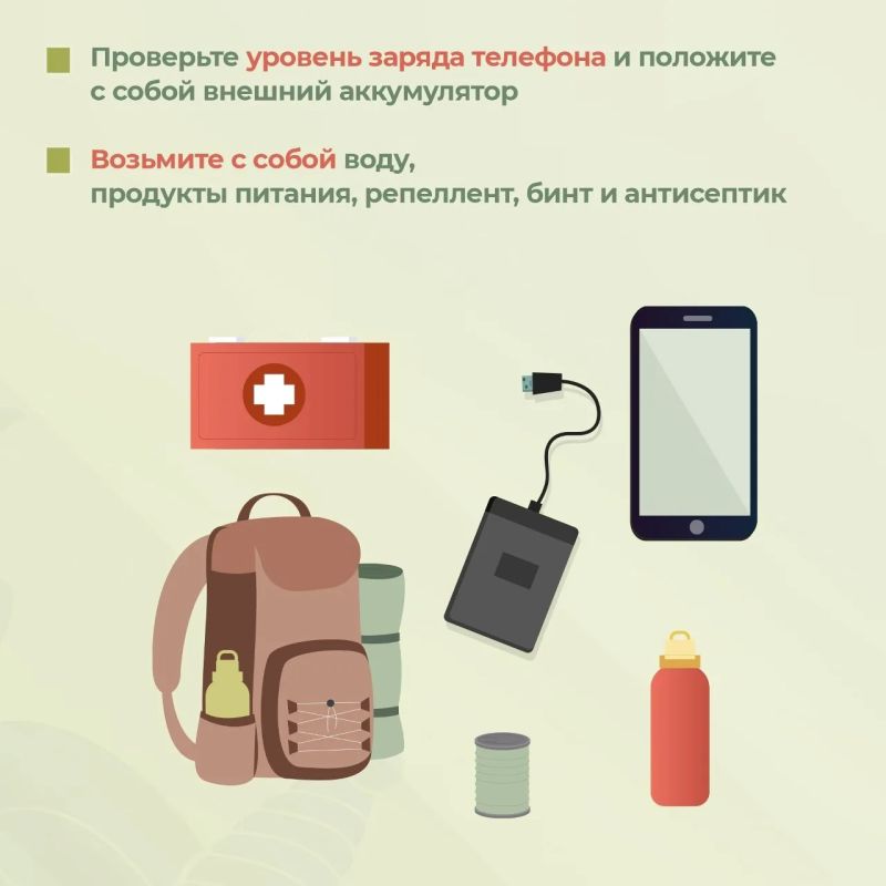 Следственное управление СК России по Томской области призывает соблюдать правила безопасного поведения в лесу Следственное управление СК России по Томской области призывает соблюдать правила безопасного поведения в лесу
