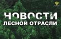 ТАСС: В Югре потушили лесные пожары, с которыми боролись больше двух месяцев