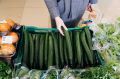Огурцы дешевеют, картошка дорожает: как изменились цены в Томской области