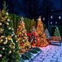 Как пересадить лесные ели без стресса: секреты и советы успешного процесса