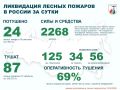 За прошедшие сутки в России потушены 24 лесных пожара в 14 регионах