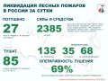 За прошедшие сутки в России потушены 27 лесных пожаров в 14 регионах
