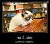 Отпуск – время для открытий