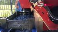 Томской области завершён сезон жимолости