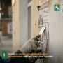 Специалисты районных администраций продолжают системную работу по контролю за содержанием фасадов
