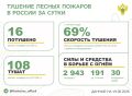 За прошедшие сутки в 9 регионах России потушили 16 лесных пожаров