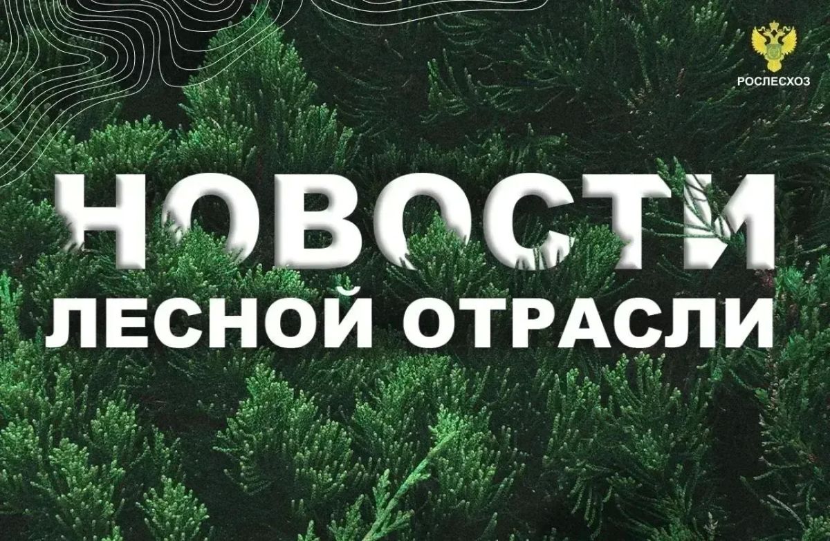 Московский комсомолец: В Карелии усилили противопожарную защиту лесного фонда