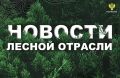 ���������� ����������: � ������� ������� ��������������� ������ ������� �����