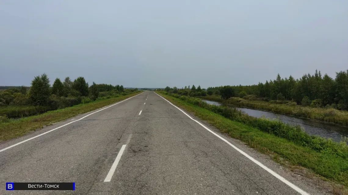 Дикое утро: возле Стрежевого заметили медведя