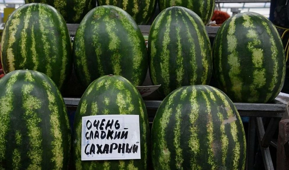 Секреты выбора идеального арбуза: два простых совета от опытного садовода