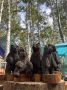 Смотрим четвертый день Международного фестиваля «Праздник Топора»!