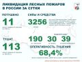 За прошедшие сутки в России потушено 11 лесных пожаров в 6 регионах