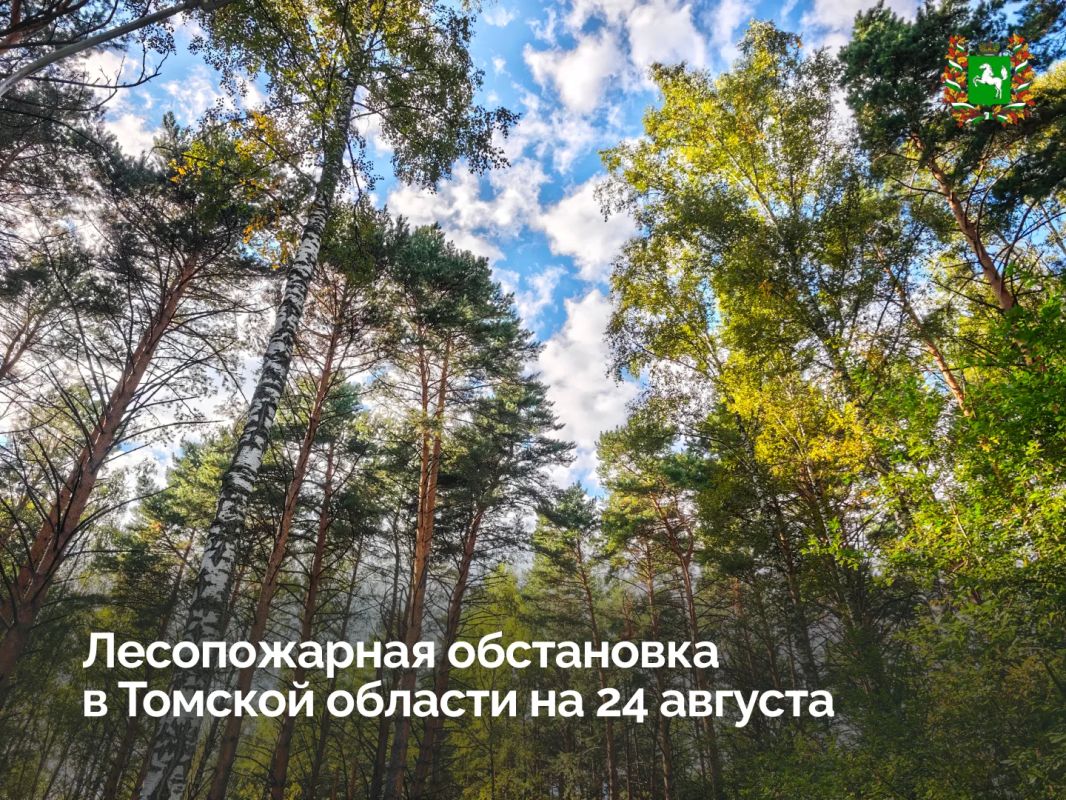 В Томской области нет действующих лесных пожаров