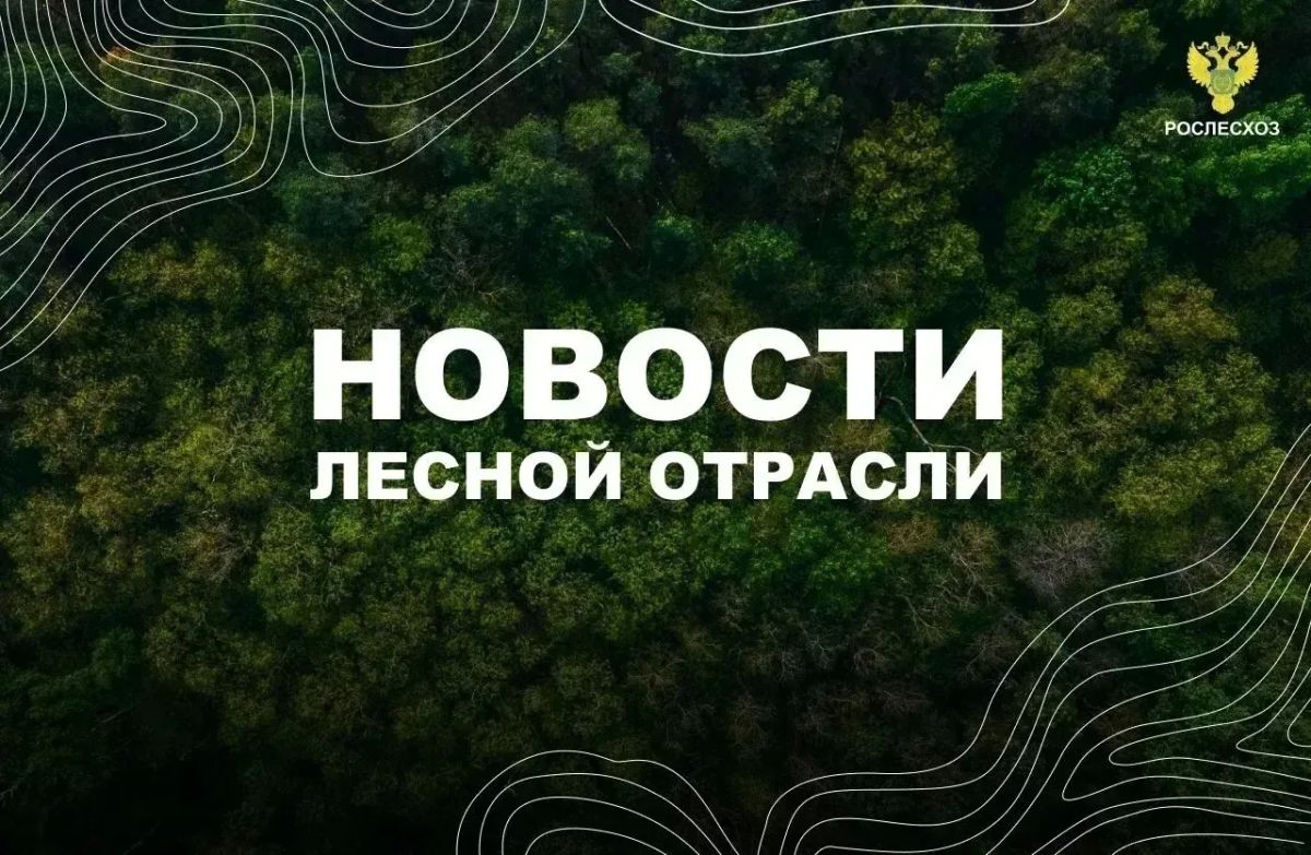 AK&M: Рослесхоз: в Ямало-Ненецкий автономный округ направят 56 лесных пожарных и 1 летчика-наблюдателя