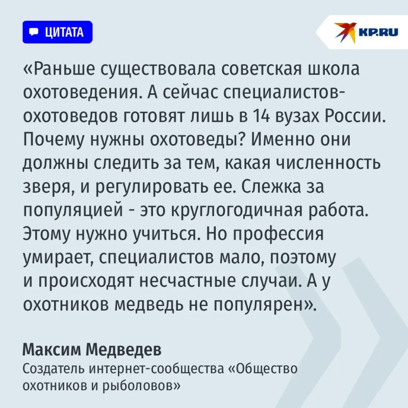 Туристку утащили из палатки и растерзали, охотнику прокусили голову: почему медведи все чаще нападают на людей Туристку утащили из палатки и растерзали, охотнику прокусили голову: почему медведи все чаще нападают на людей