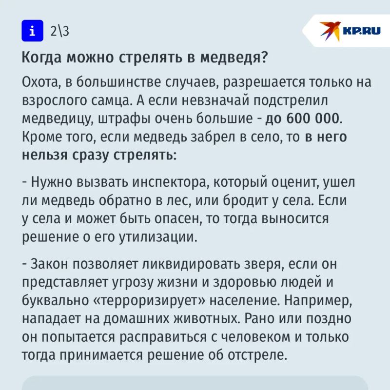 Туристку утащили из палатки и растерзали, охотнику прокусили голову: почему медведи все чаще нападают на людей Туристку утащили из палатки и растерзали, охотнику прокусили голову: почему медведи все чаще нападают на людей