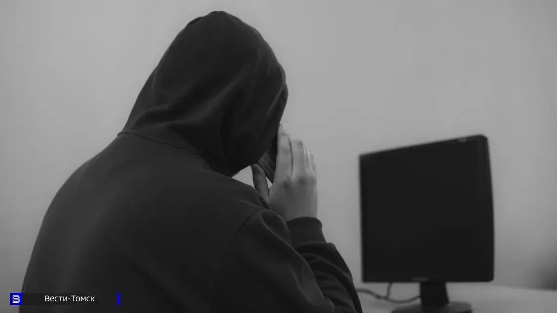 Томич помог мошенникам похитить 10 млн рублей с помощью сим-боксов