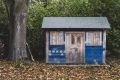 Что нельзя хранить в сарае: советы, которые уберегут ваши вещи