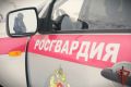 Сотрудники Росгвардии обеспечили безопасность футбольного матча Кубка России в Томске