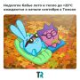 ��� ��� ������ � ������� � ���� � ��� ��������!