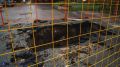 Мэр Стрежевого подводит промежуточные итоги ремонта теплосетей