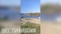 Жители Белого Яра спасли детей от медведя