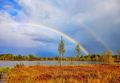 Краски осени в Колпашевском районе