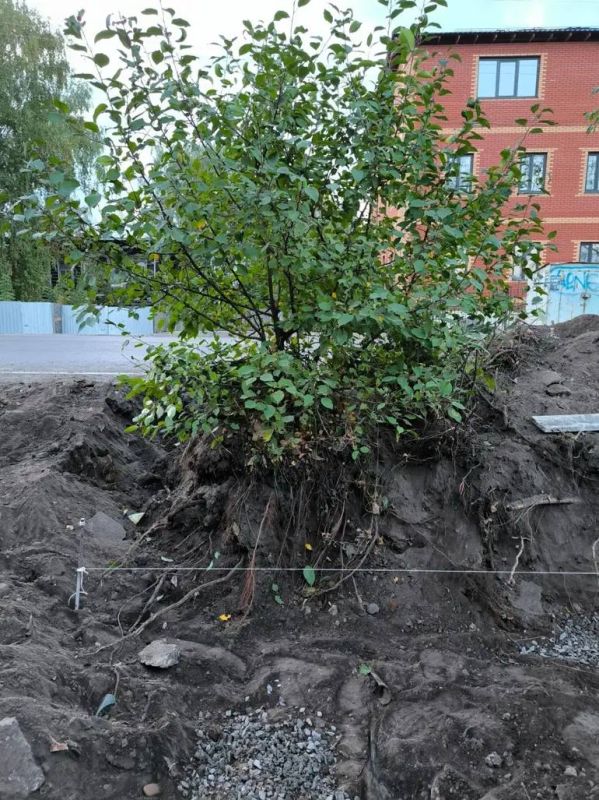 «Последние аргументы»: глава томского ВООПИиК объявила голодовку «Последние аргументы»: глава томского ВООПИиК объявила голодовку