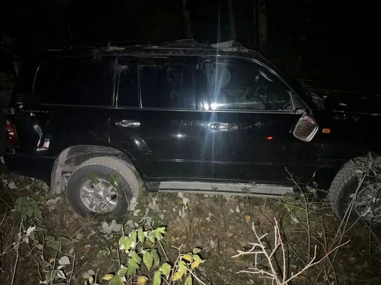 Медведи в Томской области: один спровоцировал ДТП, другого не нашли