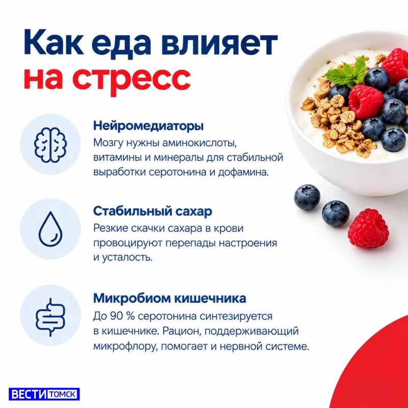 Современный ритм жизни часто держит нас в напряжении: дедлайны, бытовые заботы, информационный поток — все это создает постоянную нагрузку на нервную систему Современный ритм жизни часто держит нас в напряжении: дедлайны, бытовые заботы, информационный поток — все это создает постоянную нагрузку на нервную систему