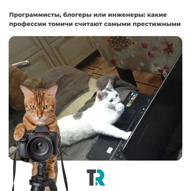 Программисты и инженеры: какие профессии томичи считают самыми престижными