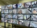 В Томской области открыт Центр общественного наблюдения за выборами депутатов Государственной Думы и Законодательной Думы Томской области по адресу г.Томск, пл. Ленина 6, 1-й этаж