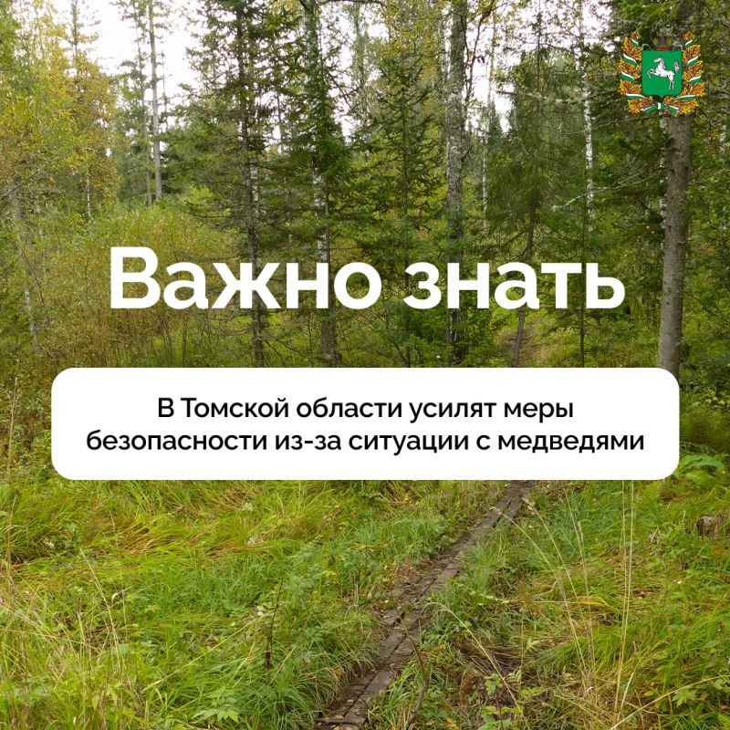 Губернатор Томской области Владимир Мазур поручил муниципалитетам усилить меры по защите жителей от медведей