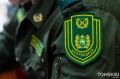 Почти 11 тысяч медведей и все меньше охотников: что происходит в Томской области