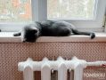 ����� �������� ����� ������ ��� � ����������