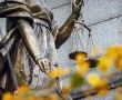 Верховный суд России утвердил приговор томскому криминальному авторитету Микаилу Арчакову (Мика ингуш)