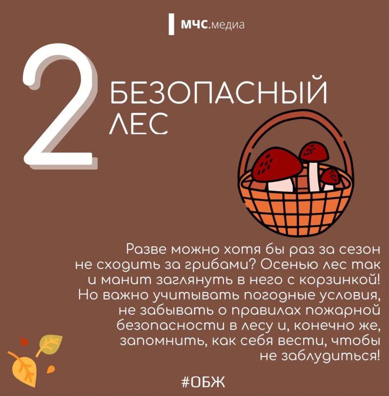 Топ-5 осенних сезонных рисков Топ-5 осенних сезонных рисков
