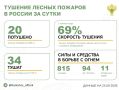 За прошедшие сутки в 13 регионах России потушили 20 лесных пожаров