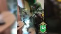 � �������� ������� ������� ��� ������� ��������� ���������� ��������� ������������� � ����� ����������