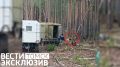 Опасная встреча: медведь вышел к рабочим на лесной дороге под Томском