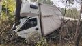 “Газель” с лошадьми врезалась в дерево под Томском