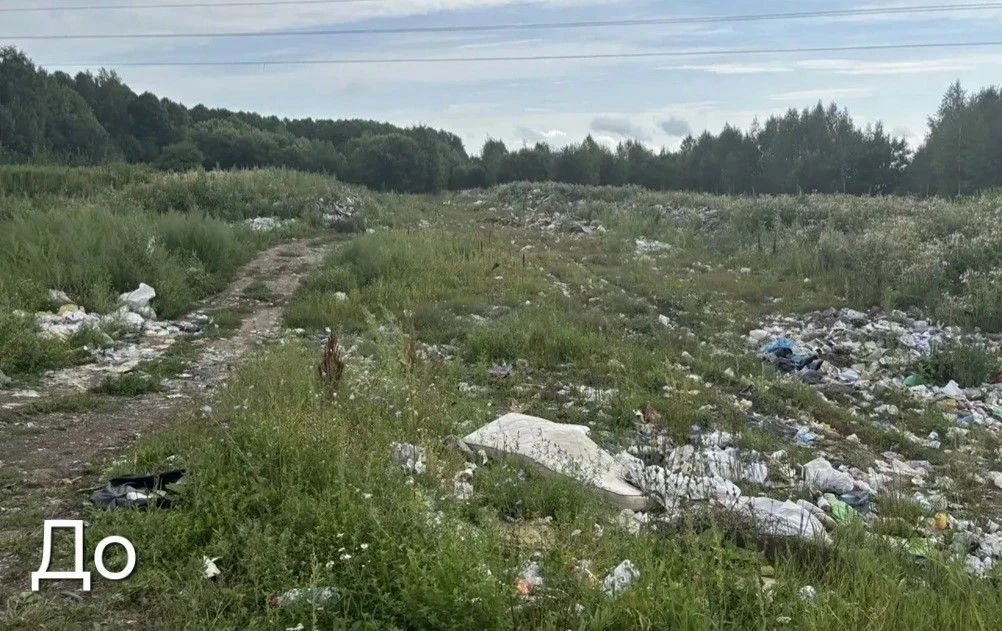 В Томской области после вмешательства прокуратуры ликвидирована несанкционированная свалка площадью свыше 6 тыс