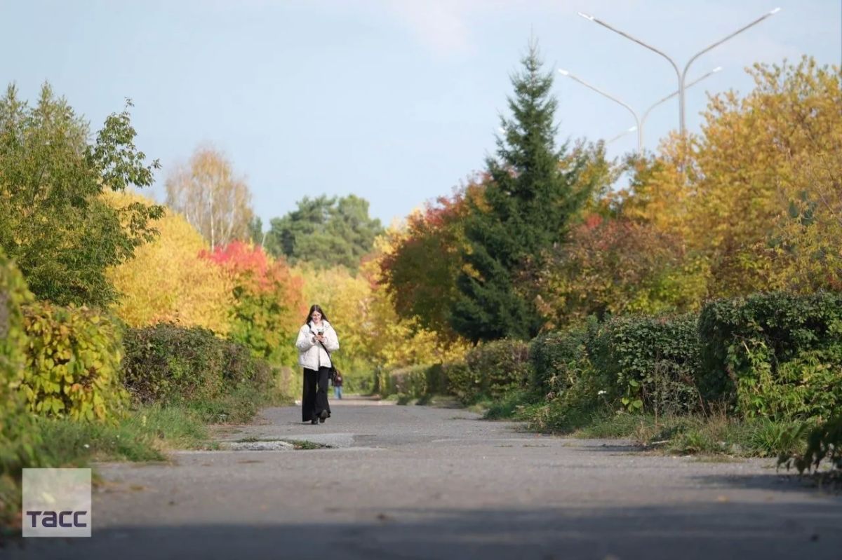 #галерея_ТАСС_Сибирь. Осенний день в Северске Томской области #галерея_ТАСС_Сибирь. Осенний день в Северске Томской области