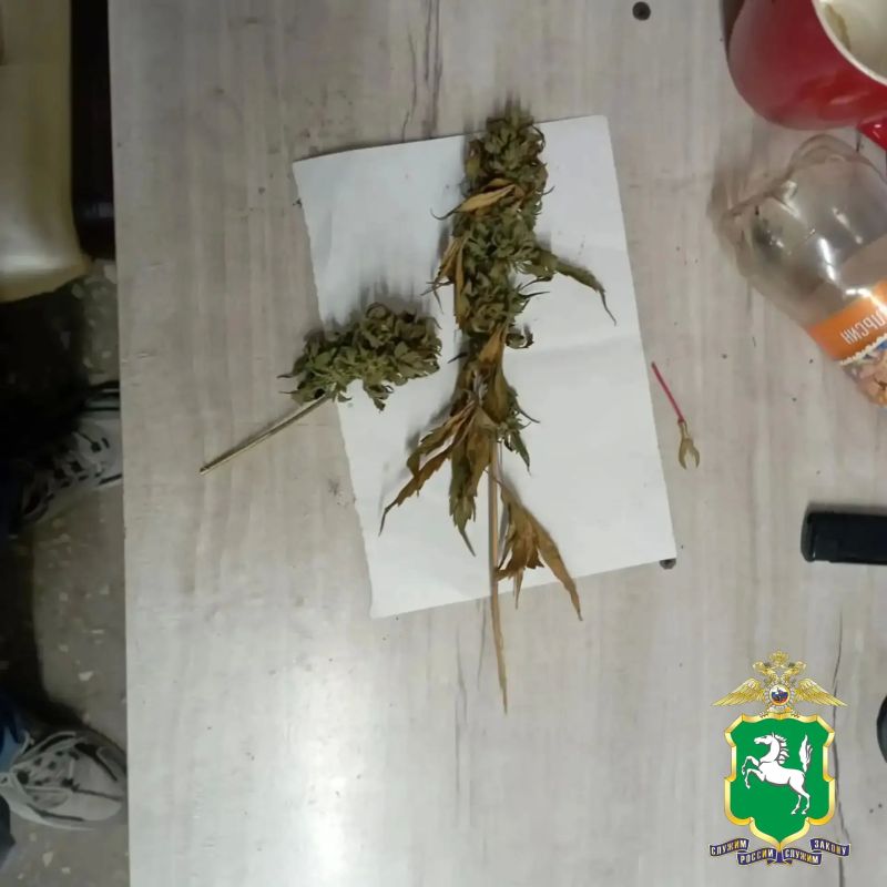 Томские полицейские пресекли деятельность криминальной группы, занимающейся распространением и культивированием наркотических средств Томские полицейские пресекли деятельность криминальной группы, занимающейся распространением и культивированием наркотических средств