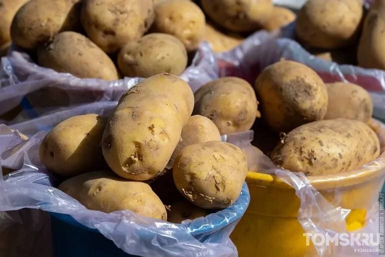 Как сохранить урожай до весны: советы эксперта из Томска