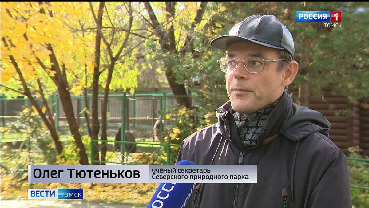 Осенняя зажировка: как животные Северского зоопарка готовятся к зиме